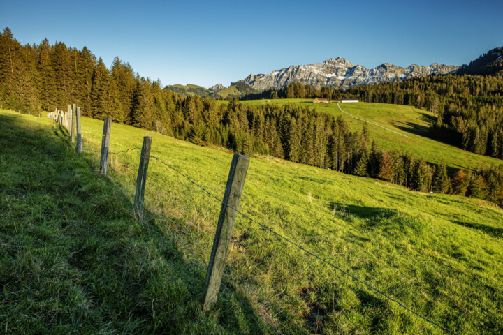 Appenzell, Ostschweiz, Schweiz, Suisse, Switzerland, Säntis