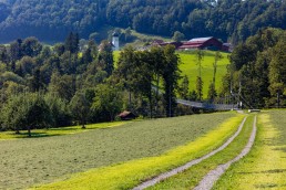 Appenzeller Land Tourismus AR, Appenzeller Vorderland, Tourismus, Verkehr, Wanderweg, Weg