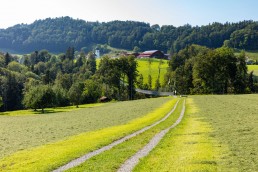 Appenzeller Land Tourismus AR, Appenzeller Vorderland, Tourismus, Verkehr, Wanderweg, Weg