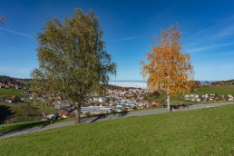 Appenzeller Land Tourismus AR, Appenzeller Vorderland, Heiden, Landscape, Landschaft, Ostschweiz, Tourismus, Verkehr, Wanderweg, Weg