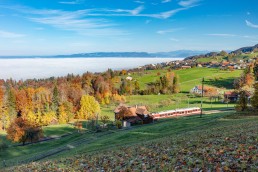Appenzeller Land Tourismus AR, Appenzeller Vorderland, Bergbahn, Eisenbahn, Heiden, Landscape, Landschaft, Ostschweiz, Schienenverkehr, Tourismus, Verkehr