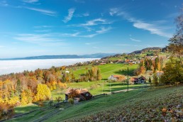 Appenzeller Land Tourismus AR, Appenzeller Vorderland, Heiden, Landscape, Landschaft, Ostschweiz, Tourismus