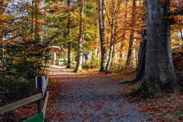 Appenzeller Land Tourismus AR, Appenzeller Vorderland, Heiden, Landscape, Landschaft, Ostschweiz, Tourismus, Verkehr, Wanderweg, Weg