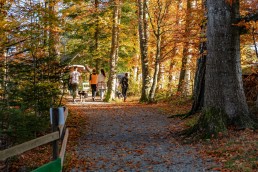 Appenzeller Land Tourismus AR, Appenzeller Vorderland, Heiden, Landscape, Landschaft, Ostschweiz, Tourismus, Verkehr, Wanderweg, Weg
