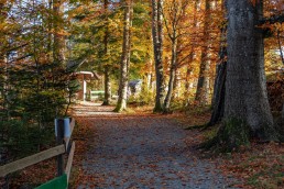 Appenzeller Land Tourismus AR, Appenzeller Vorderland, Heiden, Landscape, Landschaft, Ostschweiz, Tourismus, Verkehr, Wanderweg, Weg