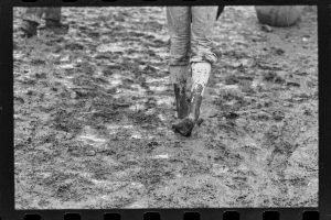 Brauchtum und Anlässe, Openair