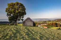 Appenzeller Land Tourismus AR, Appenzeller Vorderland, Heiden, Landscape, Landschaft, Ostschweiz, Tourismus, Verkehr, Wanderweg, Weg