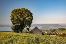 Appenzeller Land Tourismus AR, Appenzeller Vorderland, Bodensee, Heiden, Landscape, Landschaft, Ostschweiz, Tourismus, Verkehr, Wanderweg, Weg