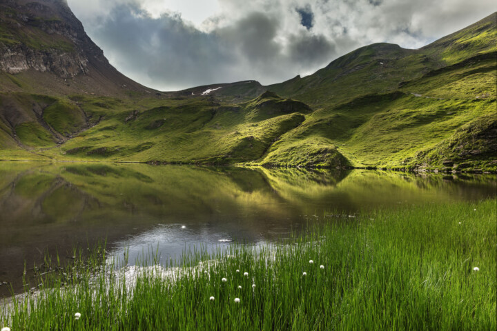Alpen, Berg, Berge, Bergmassiv, Bergsee, Bern, Berner-Oberland, Berneroberland, Gletscher, Schweiz, See, Sommer, Suisse, Switzerland, Wasser, lake, summer