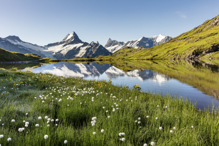 Alpen, Berg, Berge, Bergmassiv, Bergsee, Bern, Berner-Oberland, Berneroberland, Gletscher, Schweiz, See, Sommer, Suisse, Switzerland, Wasser, lake, summer