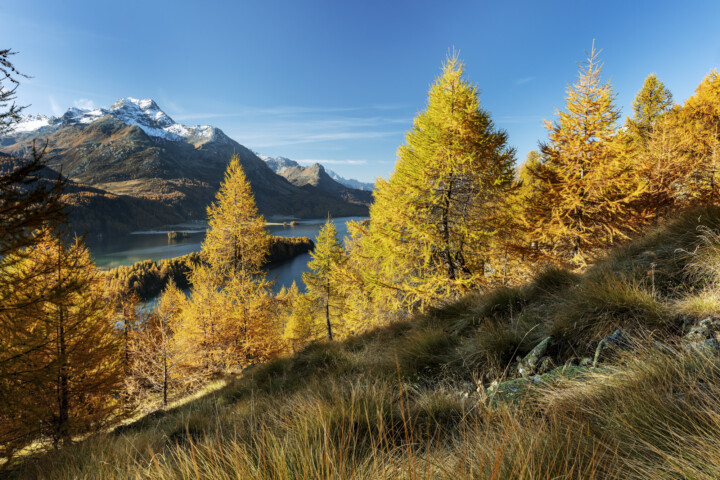 Engadin, Graubünden, Ostschweiz, Schweiz, Suisse, Switzerland