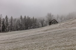Alp, Appenzell, Appenzell Ausserrohden, Jahreszeiten, Nebel, Schnee, Schweiz, Suisse, Switzerland, Urnaesch, Wetter, Winter