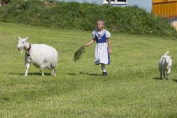 Alpabfahrt, Alpfahrt, Appenzell, Appenzell Ausserrohden, Appenzellerland, Brauchtum, Brauchtum und Anlässe, Orte, Ostschweiz, Schweiz, Suisse, Switzerland, Urnaesch, switzerland, Öberefahre