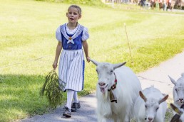 Alpabfahrt, Alpfahrt, Appenzell, Appenzell Ausserrohden, Appenzellerland, Brauchtum, Brauchtum und Anlässe, Orte, Ostschweiz, Schweiz, Suisse, Switzerland, Urnaesch, switzerland, Öberefahre