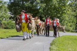 Alpabfahrt, Alpfahrt, Appenzell, Appenzell Ausserrohden, Appenzellerland, Brauchtum, Brauchtum und Anlässe, Orte, Ostschweiz, Schweiz, Suisse, Switzerland, Urnaesch, switzerland, Öberefahre