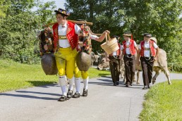 Alpabfahrt, Alpfahrt, Appenzell, Appenzell Ausserrohden, Appenzellerland, Brauchtum, Brauchtum und Anlässe, Orte, Ostschweiz, Schweiz, Suisse, Switzerland, Urnaesch, switzerland, Öberefahre