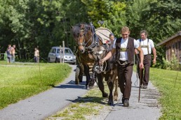 Alpabfahrt, Alpfahrt, Appenzell, Appenzell Ausserrohden, Appenzellerland, Brauchtum, Brauchtum und Anlässe, Orte, Ostschweiz, Schweiz, Suisse, Switzerland, Urnaesch, switzerland, Öberefahre