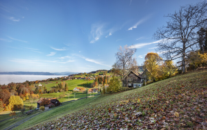 Appenzell, Appenzell Ausserrohden, Appenzeller Vorderland, Aussicht, Autumn, Bäume, Dorf, Fall, Heiden, Herbst, Nebel, Nebelmeer, Ostschweiz, Sonnenschein, Tree, Trees, Wald, Wetter, Wolfhalden