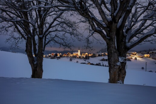 Appenzell Ausserrohden, Baum, Bäume, Jahreszeiten, Ostschweiz, Schweiz, Schwellbrunn, Suisse, Switzerland, Tree, Trees, Wald, Winter