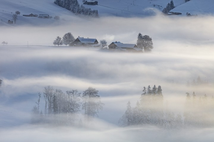 Appenzell, Appenzell Ausserrohden, Bauernhof, Baum, Fotografie, Jahreszeiten, Landschaftsfotografie, Morgen, Nebel, Nebelmeer, Ortsbild, Ostschweiz, Outdoor, Photography, Schwellbrunn, Streusiedlung, Waldstatt, Wetter, Winter, landscape photography