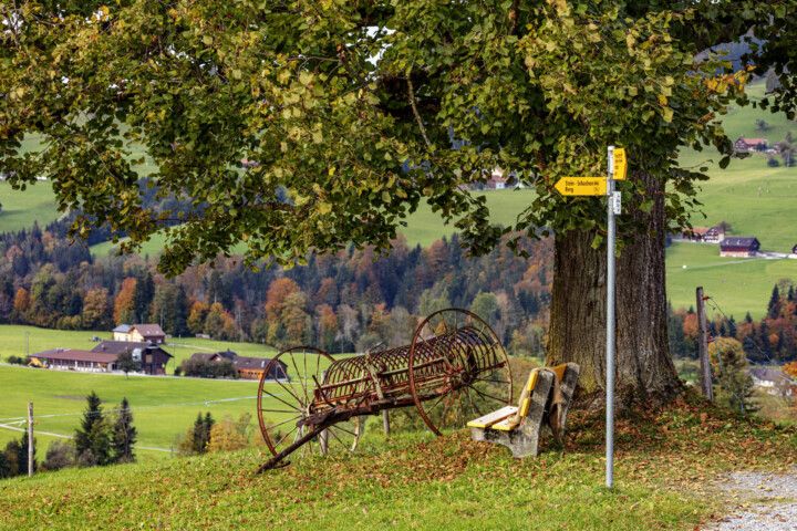 Appenzell, Appenzell Ausserrohden, Autumn, Fall, Herbst, Ostschweiz, Schweiz, Stein, Suisse, Switzerland, Tourismus, Verkehr, Wanderweg, Weg