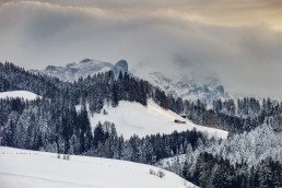 Abend, Appenzell, Appenzell Ausserrohden, Jahreszeiten, Schnee, Schweiz, Suisse, Switzerland, Trogen, Wald, Wald AR, Wetter, Winter