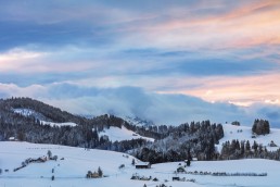 Abend, Appenzell, Appenzell Ausserrohden, Jahreszeiten, Schnee, Schweiz, Suisse, Switzerland, Trogen, Wald, Wald AR, Wetter, Winter