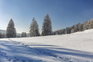 Appenzell, Appenzell Ausserrohden, Jahreszeiten, Ostschweiz, Schnee, Schweiz, Suisse, Switzerland, Urnäsch, Wetter, Winter