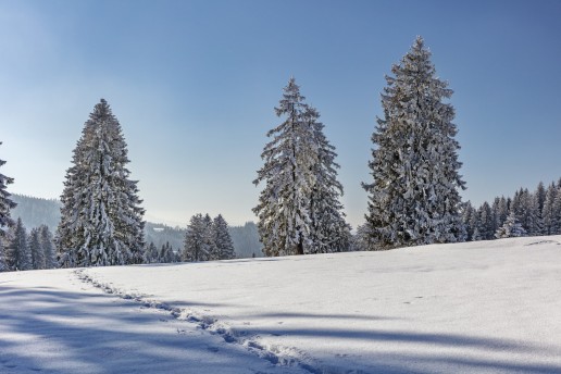 Appenzell, Appenzell Ausserrohden, Jahreszeiten, Ostschweiz, Schnee, Schweiz, Suisse, Switzerland, Urnäsch, Wetter, Winter