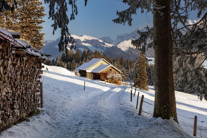 Appenzell, Appenzell Ausserrohden, Jahreszeiten, Ostschweiz, Schnee, Schweiz, Suisse, Switzerland, Urnäsch, Wetter, Winter