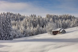 Appenzell, Appenzell Ausserrohden, Jahreszeiten, Ostschweiz, Schnee, Schweiz, Suisse, Switzerland, Urnäsch, Wetter, Winter