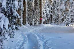 Appenzell, Appenzell Ausserrohden, Jahreszeiten, Ostschweiz, Schnee, Schweiz, Suisse, Switzerland, Urnäsch, Wetter, Winter