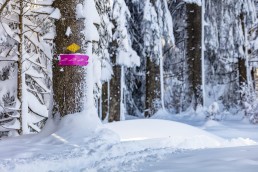 Appenzell, Appenzell Ausserrohden, Jahreszeiten, Ostschweiz, Schnee, Schweiz, Suisse, Switzerland, Urnäsch, Wetter, Winter