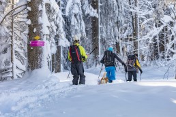 Appenzell, Appenzell Ausserrohden, Jahreszeiten, Ostschweiz, Schnee, Schweiz, Suisse, Switzerland, Urnäsch, Wetter, Winter