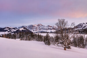 Appenzell, Appenzell Ausserrohden, Jahreszeiten, Ostschweiz, Schnee, Schweiz, Suisse, Switzerland, Säntis, Urnäsch, Wetter, Winter