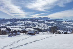 Appenzell Ausserrohden, Appenzeller Vorderland, Aussicht, Berge, Frost, Rehetobel, Winter