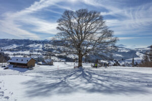 Appenzell Ausserrohden, Appenzeller Vorderland, Aussicht, Baum, Berge, Frost, Rehetobel, Winter
