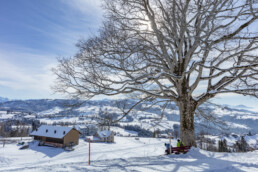 Appenzell Ausserrohden, Appenzeller Vorderland, Aussicht, Baum, Berge, Frost, Rehetobel, Winter