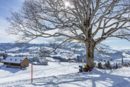 Appenzell Ausserrohden, Appenzeller Vorderland, Aussicht, Baum, Berge, Frost, Rehetobel, Winter