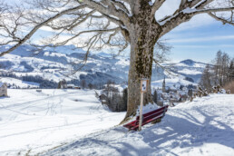 Appenzell Ausserrohden, Appenzeller Vorderland, Aussicht, Berge, Frost, Rehetobel, Winter