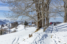 Appenzell Ausserrohden, Appenzeller Vorderland, Aussicht, Berge, Frost, Rehetobel, Winter