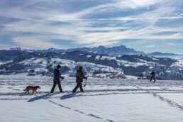 Appenzell Ausserrohden, Appenzeller Vorderland, Aussicht, Berge, Frost, Rehetobel, Winter