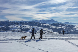 Appenzell Ausserrohden, Appenzeller Vorderland, Aussicht, Berge, Frost, Rehetobel, Winter