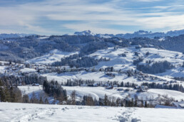 Appenzell Ausserrohden, Appenzeller Vorderland, Aussicht, Berge, Frost, Wald, Wald AR, Winter