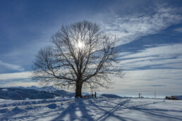 Appenzell Ausserrohden, Appenzeller Vorderland, Aussicht, Baum, Berge, Frost, Wald, Wald AR, Winter