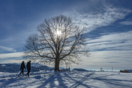 Appenzell Ausserrohden, Appenzeller Vorderland, Aussicht, Baum, Berge, Frost, Wald, Wald AR, Winter