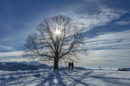 Appenzell Ausserrohden, Appenzeller Vorderland, Aussicht, Baum, Berge, Frost, Wald, Wald AR, Winter