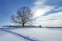 Appenzell Ausserrohden, Appenzeller Vorderland, Aussicht, Baum, Berge, Frost, Wald, Wald AR, Winter