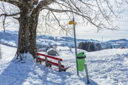 Appenzell Ausserrohden, Appenzeller Vorderland, Aussicht, Baum, Berge, Frost, Wald, Wald AR, Winter