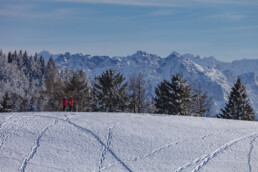 Appenzell Ausserrohden, Appenzeller Vorderland, Aussicht, Berge, Frost, Wald, Wald AR, Winter